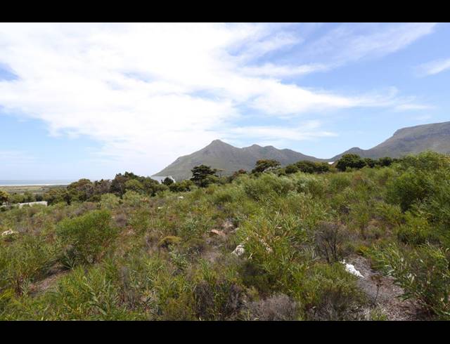 8,000M² SMALLHOLDING FOR SALE IN CROFTERS VALLEY